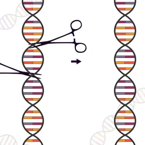 Symbolbild für das gentechnische Verfahren CRISPR-Cas
