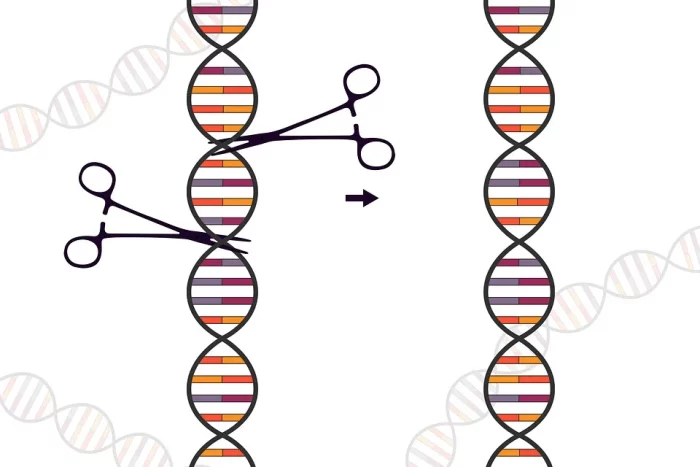 Symbolbild für das gentechnische Verfahren CRISPR-Cas
